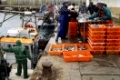 Sagres, Sardinenfischer, Luiz Miguel und seine Leute sortieren Sardinen                          