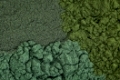 background of chlorella, spirulina and blue-green  sea algae supplement powder