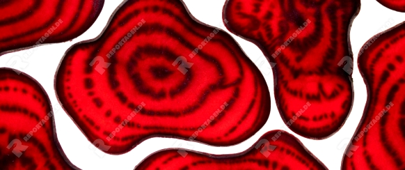 Beetroot sliced and isolated on white