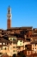 Cityscape of Siena with a magnificient tower in Tuscany, Italy.