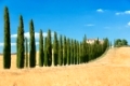 View the actual landscape of Tuscany, Italy