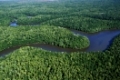 Ten-Thousend Islands 
Mangroves / Mangroven
Everglades N. P. / Florida, USA