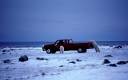 Eisbaer und Touristenfahrzeug
Ursus maritimus
Kanada, Churchill