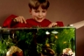 Boy with aquarium / Junge mit Aquarium / Andere Tiere, other animals, Fische, fish, Mensch & Tier, human & animal