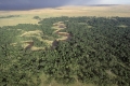 African landscape, aerial view,
Afrikanische Landschaft ,Luftbild.
Mara river,  Luftaufnahme.
Masai Mara. Kenia, Kenya, Africa, Afrika.
Photo: Fritz Poelking, Fritz Pölking
A nature document. 
