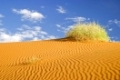 Duenenlandschaft in der Namib Wueste, Afrika, Dunes in the Namib desert, Namibia, Africa