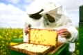 Überzeugungstäter Bienenfreund -Imker & Honigliebhaber