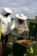 Überzeugungstäter Bienenfreund -Imker & Honigliebhaber