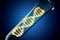 DNA model on blue background