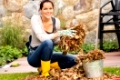 Smiling woman putting leaves in bucket fall garden housework