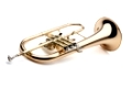 Trumpet on a whithe background