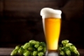 Still life with a keg of beer and green hop on a dark brown wooden background