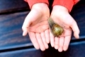Snail on child hand on the brown terrace background