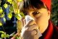 Junge Frau schnaubt neben Birkenpollen. young woman sniffs behind pollen from birch
