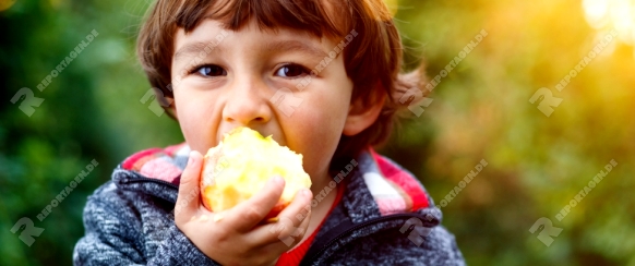 Kleiner Junge Kind Apfel Obst Früchte essen draußen Herbst Natur gesunde Ernährung outdoor