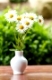 detail of daisy flower in the vase with shallow focus