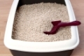 cat litter box with biodegradable pine wood chips