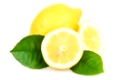 Ripe Yellow Lemons Isolated over White Background