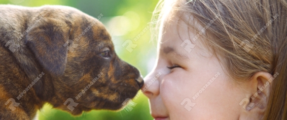 Little girl with a puppy. Nose to nose