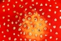 colorful texture of fly agaric, beautiful natural pattern ( Amanita muscaria )