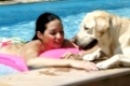 Junge Frau, blonder Labrador, Retriever, Schwimmbad, young woman with Labrador Retriever, swimming-pool