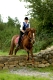 flowerhill house, irland, cross country riding