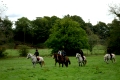 flowerhill house, irland, cross country riding