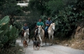 Spanien: Pferde, Sonne, Meer und Lebensart