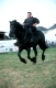 Cheval de Mérens: Die schwarzen Pyrenäenpferde