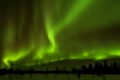 Nordlicht (Aurora borealis) ueber verschneiter Landschaft, Gaellivare, Norrbotten, Lappland, Schweden, November 2012