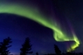 Nordlicht (Aurora borealis) ueber verschneiter Landschaft, Gaellivare, Norrbotten, Lappland, Schweden, Maerz 2013