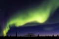 Nordlicht (Aurora borealis) ueber  verschneiter Landschaft, Gaellivare, Norrbotten, Lappland, Schweden, Maerz 2013