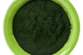 small bowl of Hawaiian spirulina powder isolated on white
