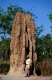Australien, australia
Litchfield NP - Termitenhuegel (etwa 5m hoch)
vorn Tourist