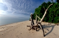 Strand der Insel Lankayan, Lankayan Resort,