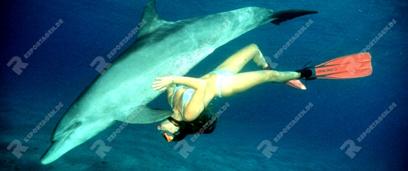 Maedchen mit Delfin
