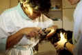 Hauskatze, Arzt, Untersuchung , domestic cat
