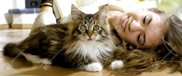 Junge Frau und Maine Coon Katze in der Wohnung, Young woman with Maine Coon Cat in the House