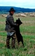 Schaefer mit Hund und Schafherde, Canis lupus familiaris, domestic sheep, flock, Deutschland, Eifel, 