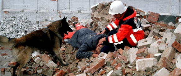 RettungshundBergungshund der Feuerwehr hilft Verschuettete unter Truemmern aufzuspueren (Aufnahme einer Uebung)