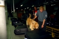 Drogen-Spuerhund beim deutschen Zoll
Arbeit am Flughafen, Abfertigung
Routinekontrolle nach Rauschgiften