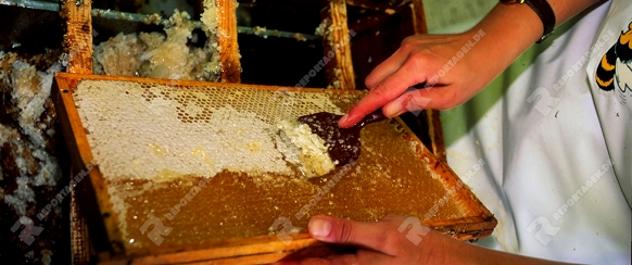 Honigherstellung