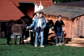 Kinder mit Pferd und Eseln auf dem Bauernhof