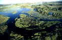 Pantanal Luftaufnahme, brazil, south-america