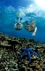 Zwei Frauen beim Schnorcheln, , Bali, Indischer Ozean, Indonesien | Two snorkeling girls, Bali, Indian Ocean, Indonesia