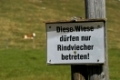 Schild in den Alpen, Diese Wiese duerfen nur Rindviecher betreten, Bayern, Deutschland, Europa, Warning sign at meadow in bavarian alps, Germany, Europe