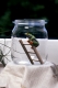 Rotaugenlaubfrosch auf Leiter in Glas   (Wetterfrosch)