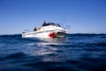 Tauchboot Sardine Run, Wild Coast, Ostkap, Suedafrika | Diving Boat Sardine Run, Wild Coast, Eastern Cap, South Africa