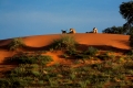 Fotografische Ruhe in der Kalahari