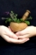 Unrecognizable female demonstrating wooden mortar with pestle and fresh leaves and flowers of herbs